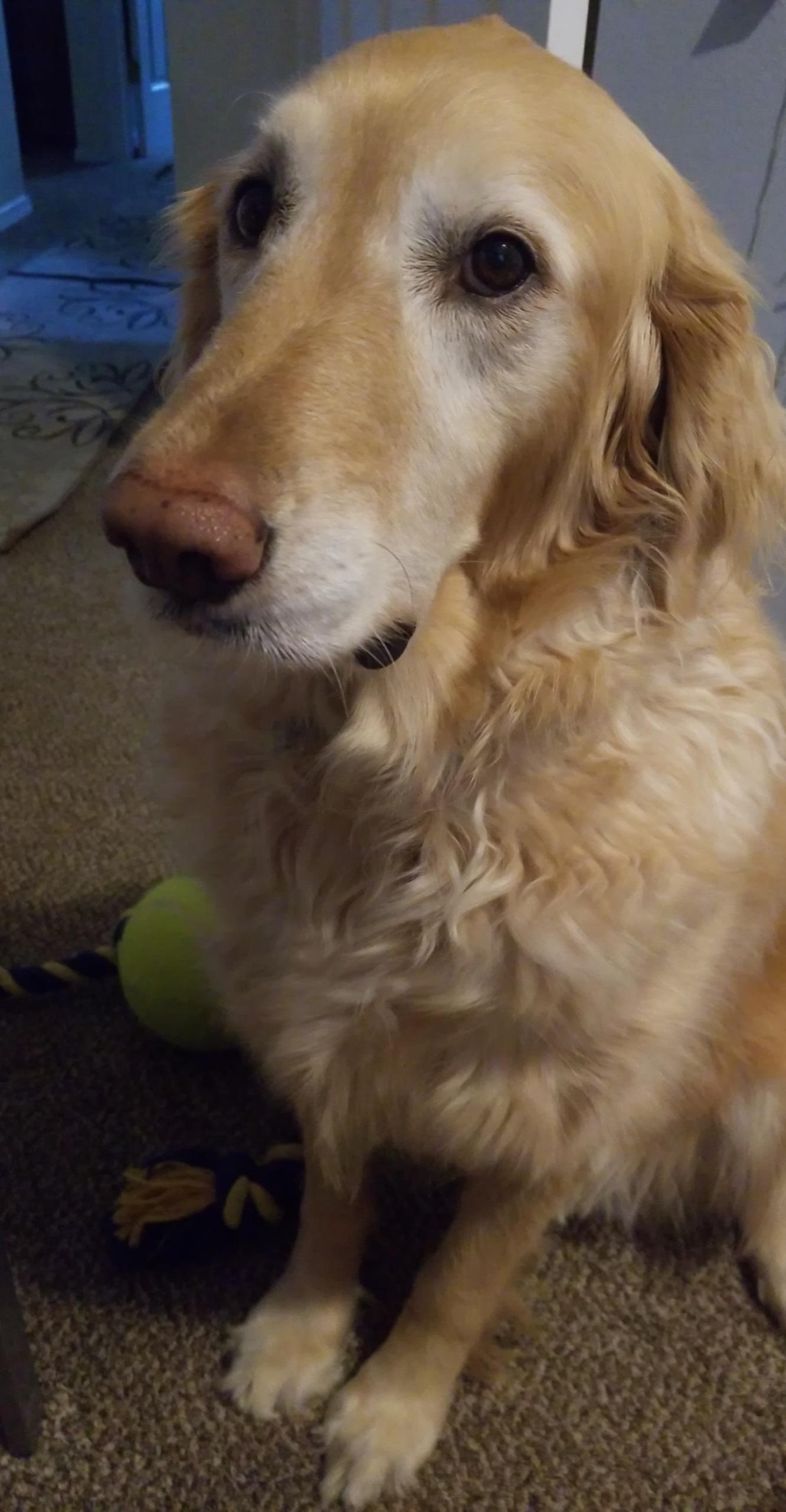 My Best Friend