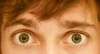 Gregghy